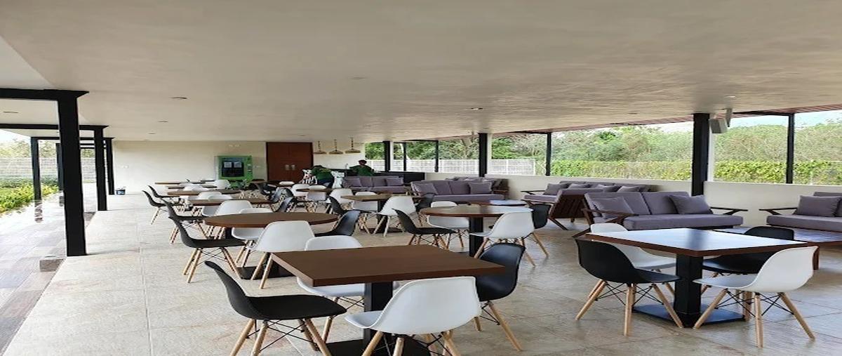 Foto de terreno habitacional en venta en  , kankabchen, baca, yucatán, 0 No. 05