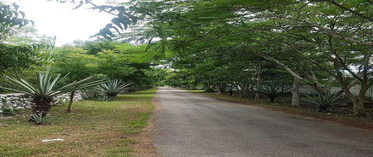 Foto de terreno habitacional en renta en  , kankabchen, baca, yucatán, 0 No. 03