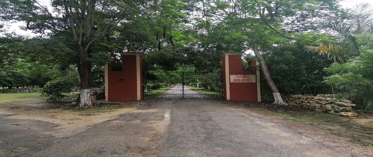 Foto de terreno habitacional en renta en  , kankabchen, baca, yucatán, 31057576 No. 05