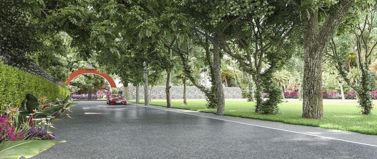 Foto de terreno habitacional en venta en  , kantoina, conkal, yucatán, 26096169 No. 03