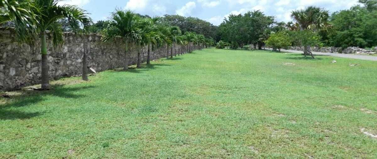 Foto de terreno habitacional en venta en  , kantoina, conkal, yucatán, 0 No. 03