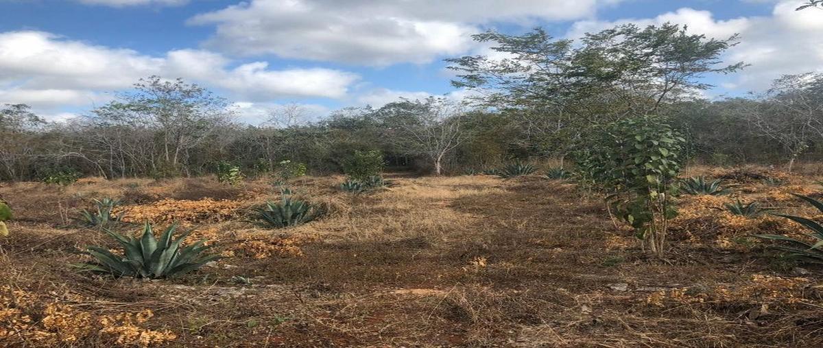 Foto de rancho en venta en . , kantunil, kantunil, yucatán, 16170145 No. 05
