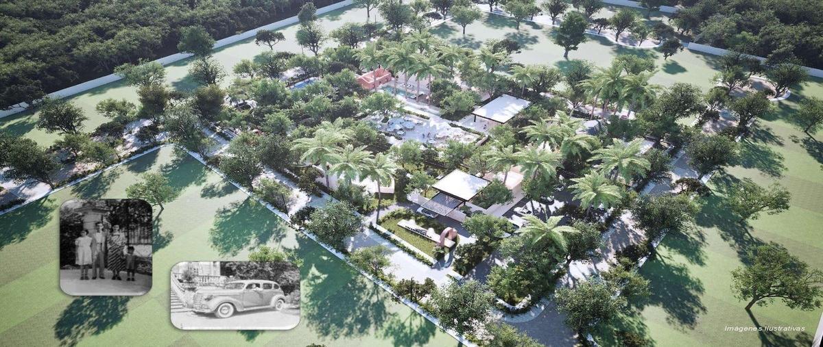 Foto de terreno habitacional en venta en kapok , paraíso, mérida, yucatán, 30398583 No. 04