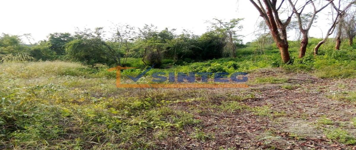 Foto de terreno habitacional en venta en  , kawatzin valencia, coatzintla, veracruz de ignacio de la llave, 28059313 No. 03