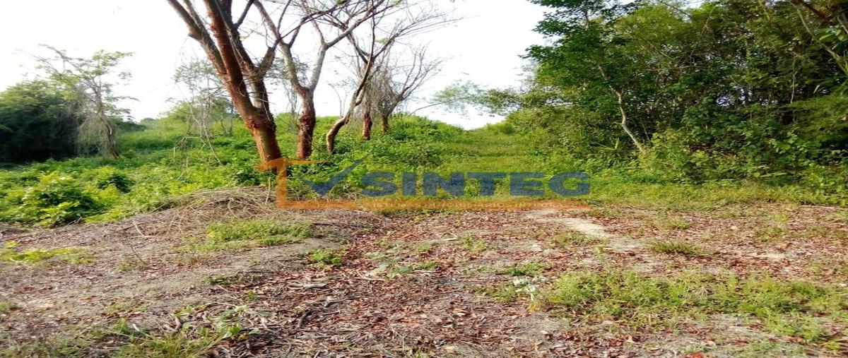 Foto de terreno habitacional en venta en  , kawatzin valencia, coatzintla, veracruz de ignacio de la llave, 28059313 No. 04
