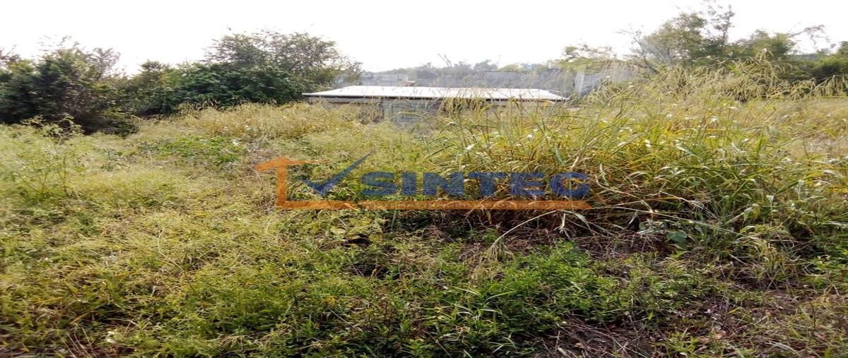 Foto de terreno habitacional en venta en  , kawatzin valencia, coatzintla, veracruz de ignacio de la llave, 28059313 No. 05