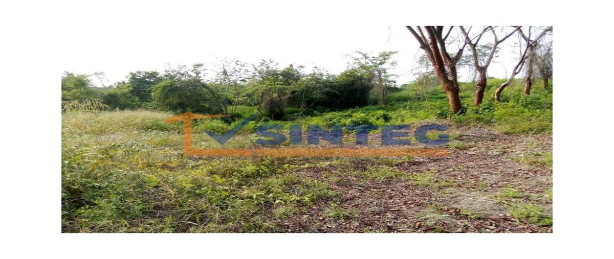 Foto de terreno habitacional en venta en  , kawatzin valencia, coatzintla, veracruz de ignacio de la llave, 0 No. 04
