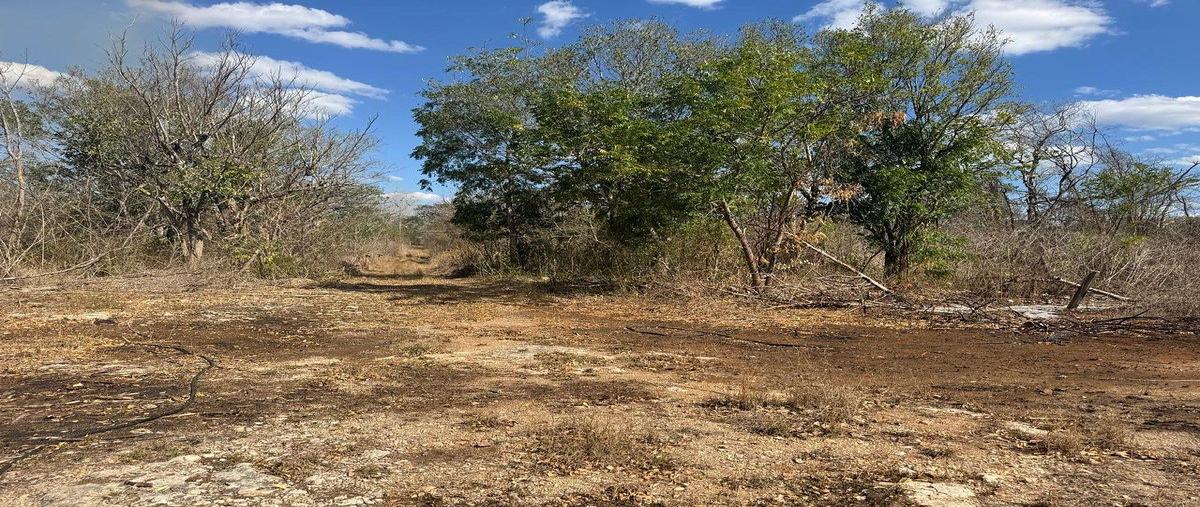 Foto de terreno habitacional en venta en keken , centro umán, umán, yucatán, 0 No. 03