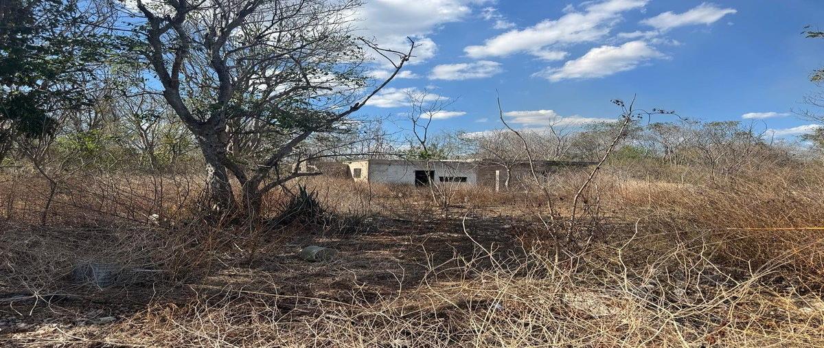 Foto de terreno habitacional en venta en keken , centro umán, umán, yucatán, 0 No. 04