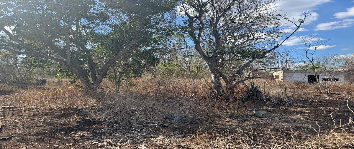 Foto de terreno habitacional en venta en keken , centro umán, umán, yucatán, 0 No. 05