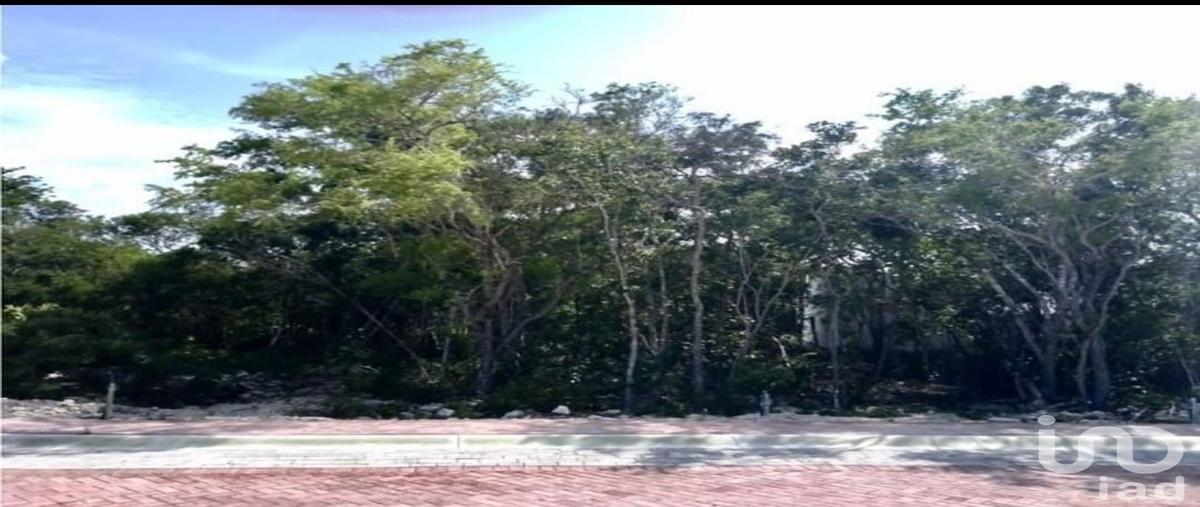 Foto de terreno habitacional en venta en kentia 109, chuburna de hidalgo (la floresta), mérida, yucatán, 30449048 No. 03