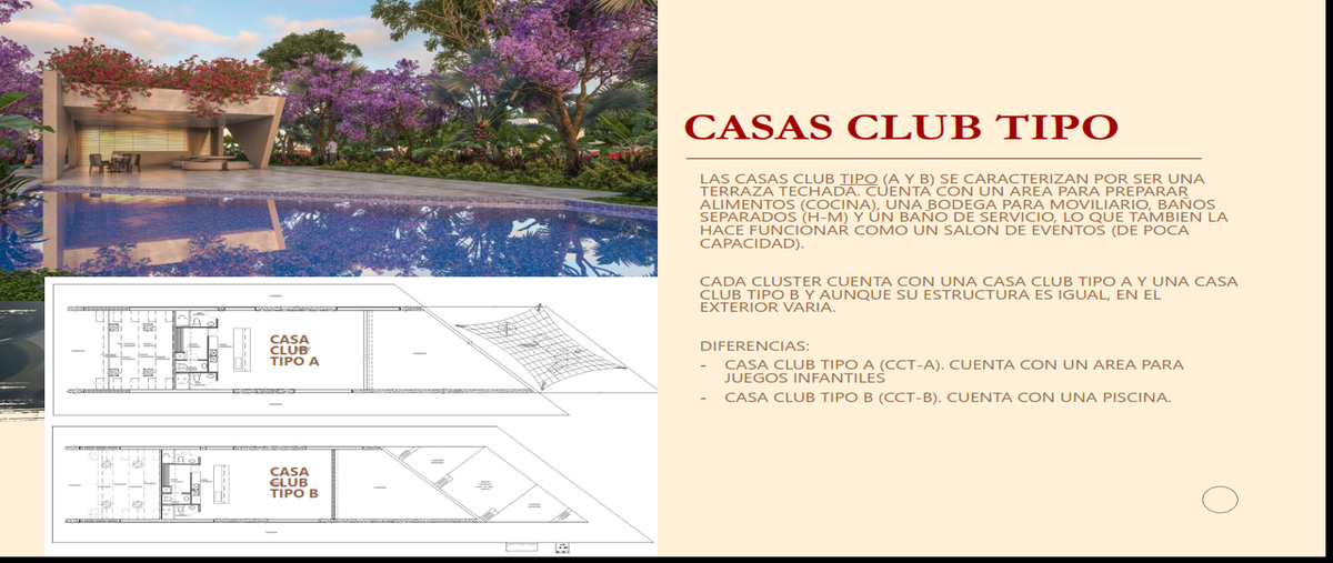 Foto de terreno habitacional en venta en kikteil , kiktel, mérida, yucatán, 21220950 No. 05