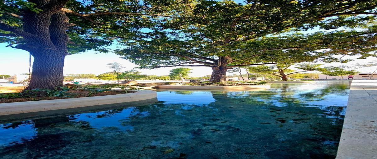 Foto de terreno habitacional en kikteil , kiktel, mérida, yucatán, 0 foto 03 Foto de terreno habitacional en venta en kikteil , kiktel, mérida, yucatán, 0 No. 03