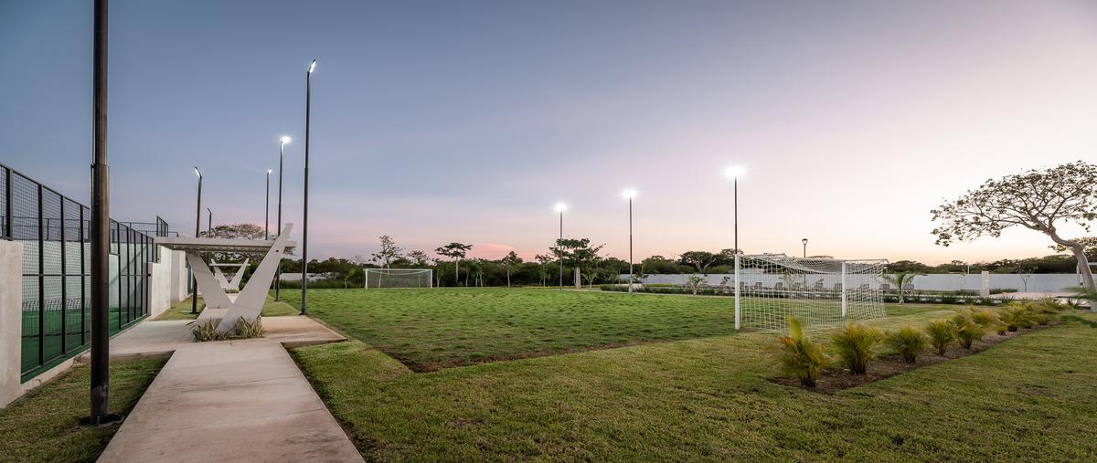 Foto de terreno habitacional en venta en kikteil whi274739, kiktel, mérida, yucatán, 23906522 No. 04