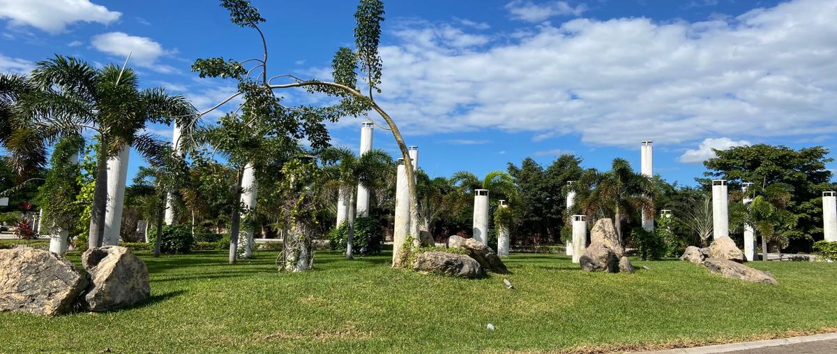 Foto de terreno habitacional en venta en kikteil whi312086, kiktel, mérida, yucatán, 0 No. 04