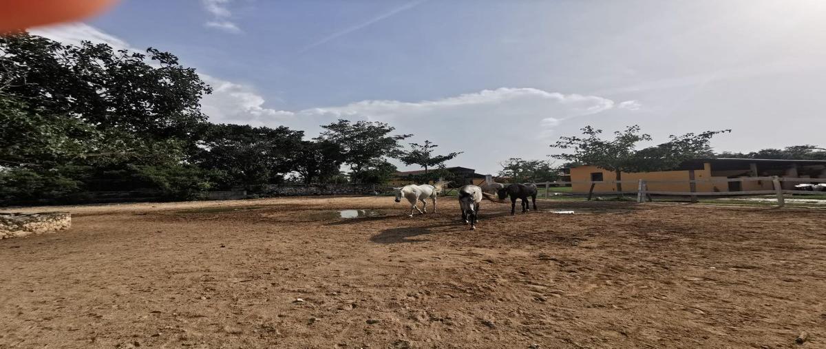 Foto de terreno habitacional en venta en  , kiktel, mérida, yucatán, 25943199 No. 03