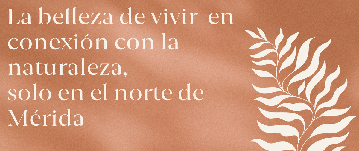 Foto de terreno habitacional en venta en  , kiktel, mérida, yucatán, 26795703 No. 03