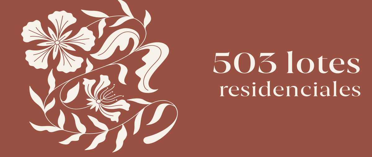 Foto de terreno habitacional en venta en  , kiktel, mérida, yucatán, 26795703 No. 05