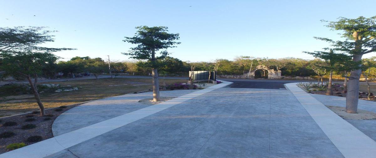 Foto de terreno habitacional en venta en  , kiktel, mérida, yucatán, 27303133 No. 03