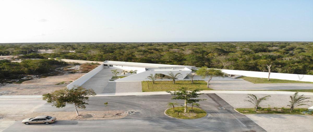 Foto de terreno habitacional en venta en  , kiktel, mérida, yucatán, 27303133 No. 05