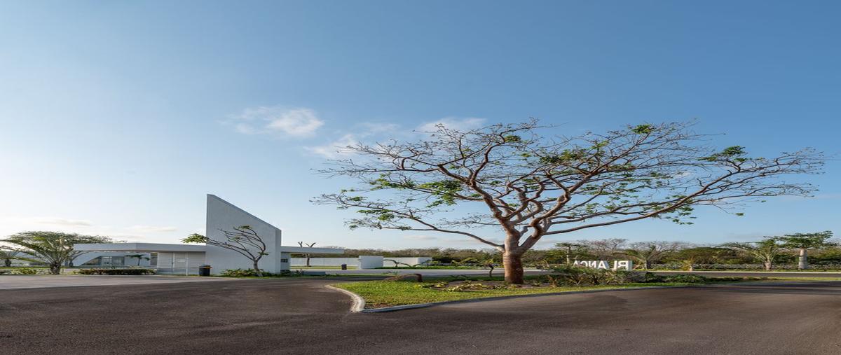 Foto de terreno habitacional en venta en  , kiktel, mérida, yucatán, 27309344 No. 04