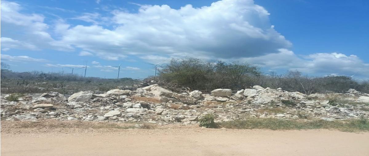Foto de terreno habitacional en venta en  , kiktel, mérida, yucatán, 0 No. 04