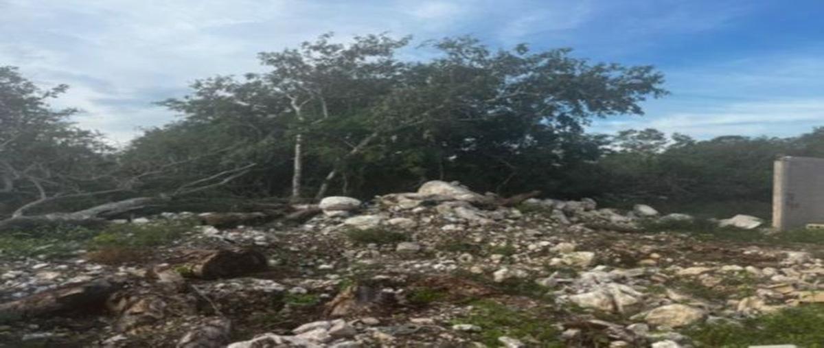 Foto de terreno habitacional en venta en  , kiktel, mérida, yucatán, 27548801 No. 03
