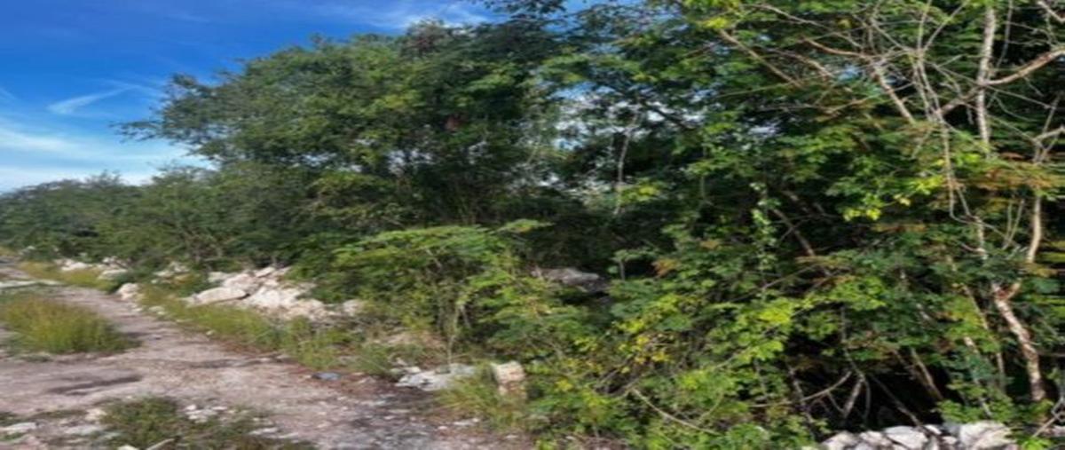 Foto de terreno habitacional en venta en  , kiktel, mérida, yucatán, 27548801 No. 04