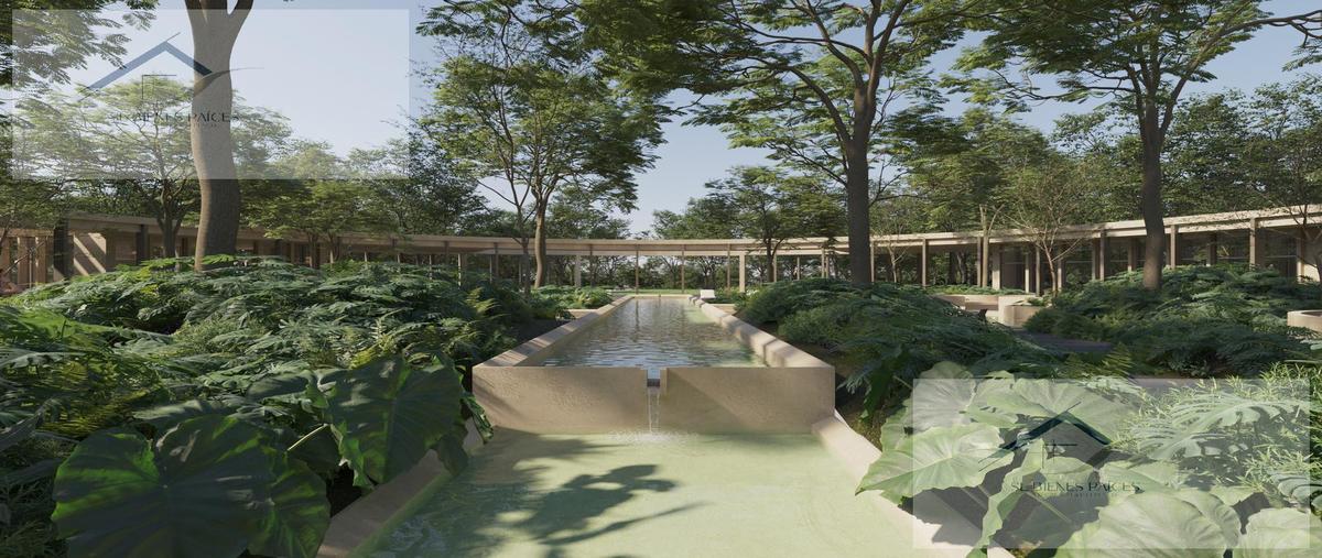Foto de terreno habitacional en venta en  , kiktel, mérida, yucatán, 0 No. 05
