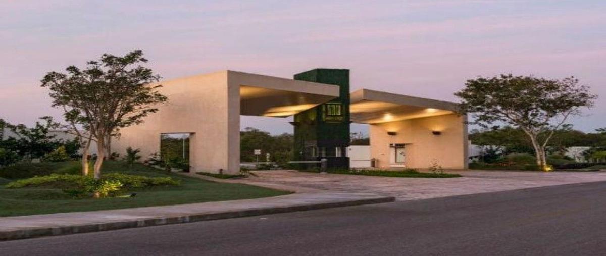 Foto de terreno habitacional en venta en  , kiktel, mérida, yucatán, 27687087 No. 04