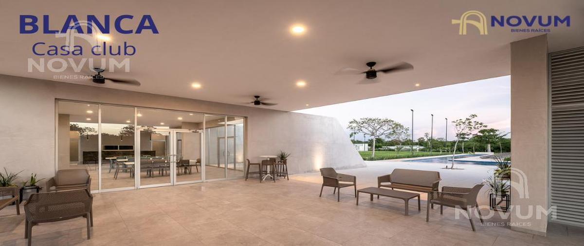 Foto de terreno habitacional en venta en  , kiktel, mérida, yucatán, 0 No. 04