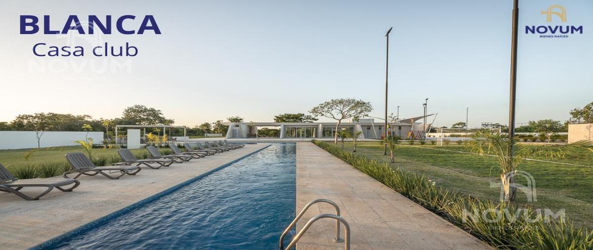 Foto de terreno habitacional en venta en  , kiktel, mérida, yucatán, 0 No. 05