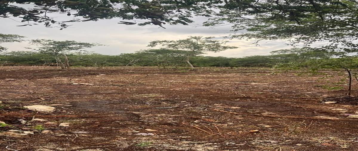 Foto de terreno habitacional en venta en  , kiktel, mérida, yucatán, 27722831 No. 04
