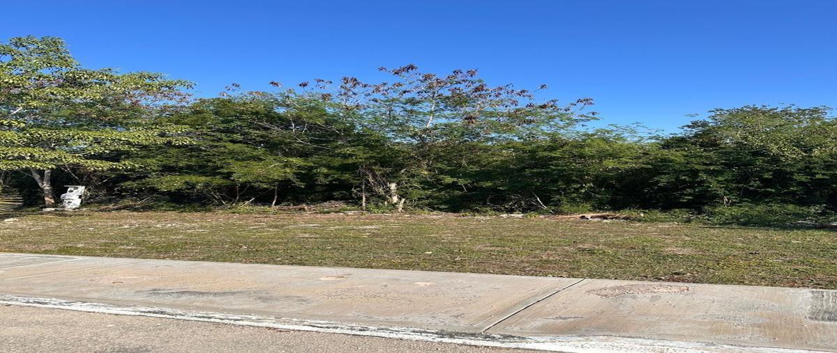 Foto de terreno habitacional en venta en  , kiktel, mérida, yucatán, 28089241 No. 03