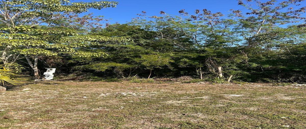 Foto de terreno habitacional en venta en  , kiktel, mérida, yucatán, 28089241 No. 04