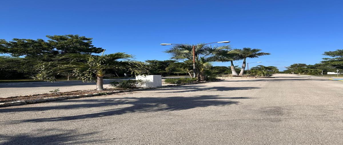 Foto de terreno habitacional en venta en  , kiktel, mérida, yucatán, 28089241 No. 05