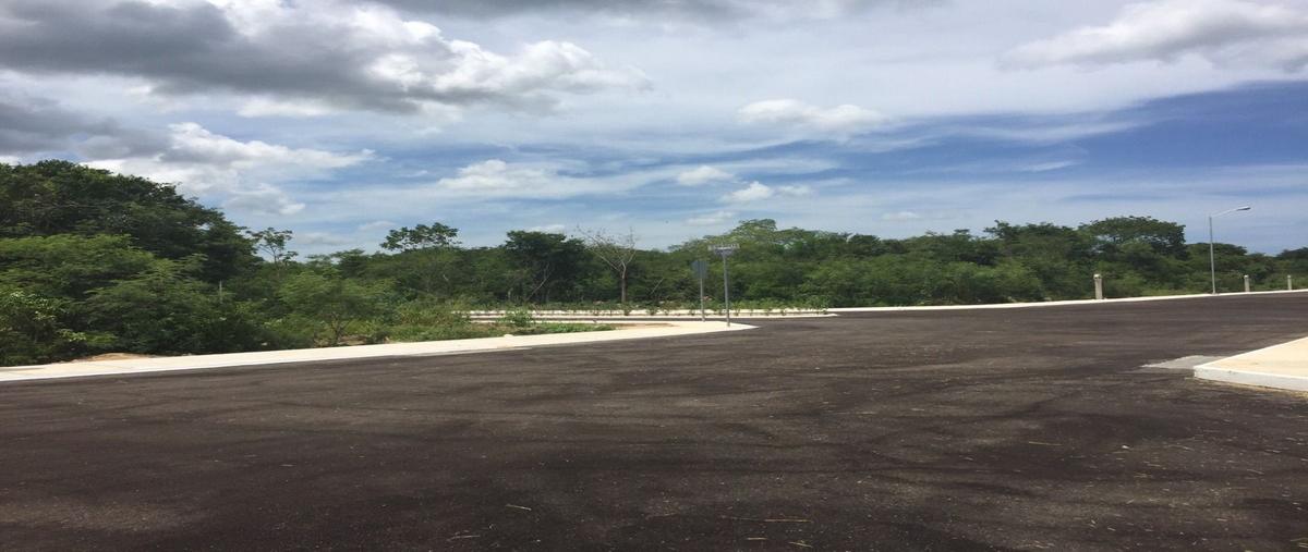 Foto de terreno habitacional en venta en  , kiktel, mérida, yucatán, 28571103 No. 03