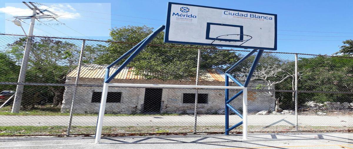 Foto de terreno habitacional en venta en  , kiktel, mérida, yucatán, 29553849 No. 03
