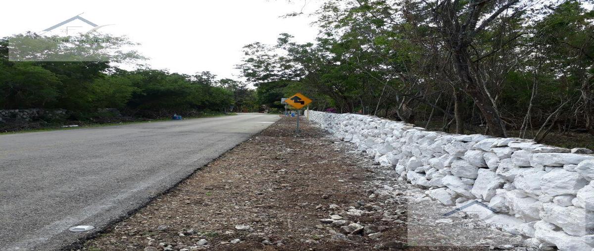 Foto de terreno habitacional en venta en  , kiktel, mérida, yucatán, 29553849 No. 04