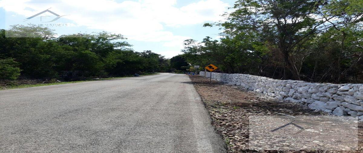 Foto de terreno habitacional en venta en  , kiktel, mérida, yucatán, 29553849 No. 05