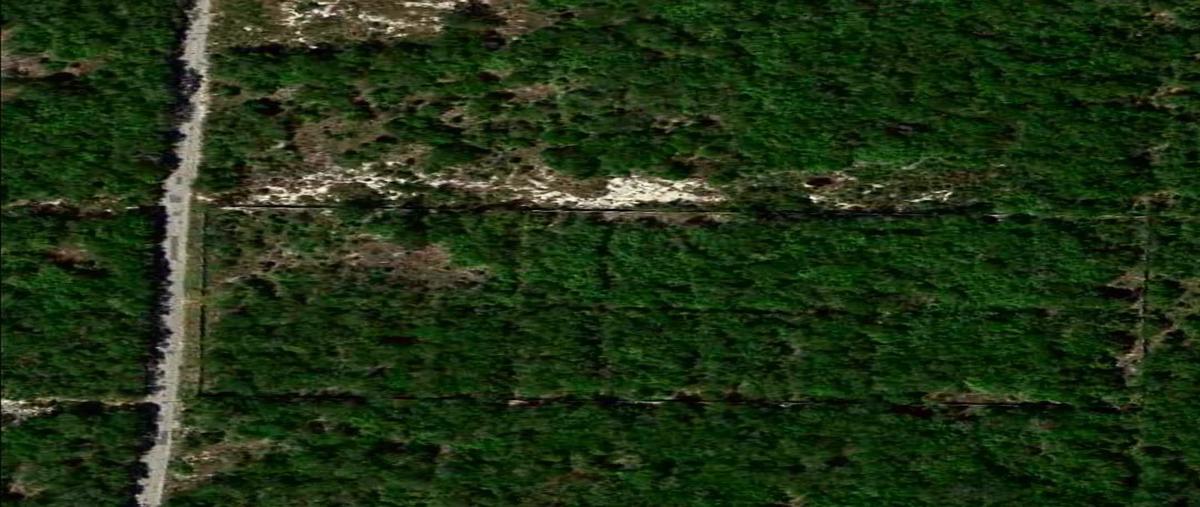 Foto de terreno habitacional en , kiktel, mérida, yucatán, 0 foto 03 Foto de terreno habitacional en venta en , kiktel, mérida, yucatán, 0 No. 03