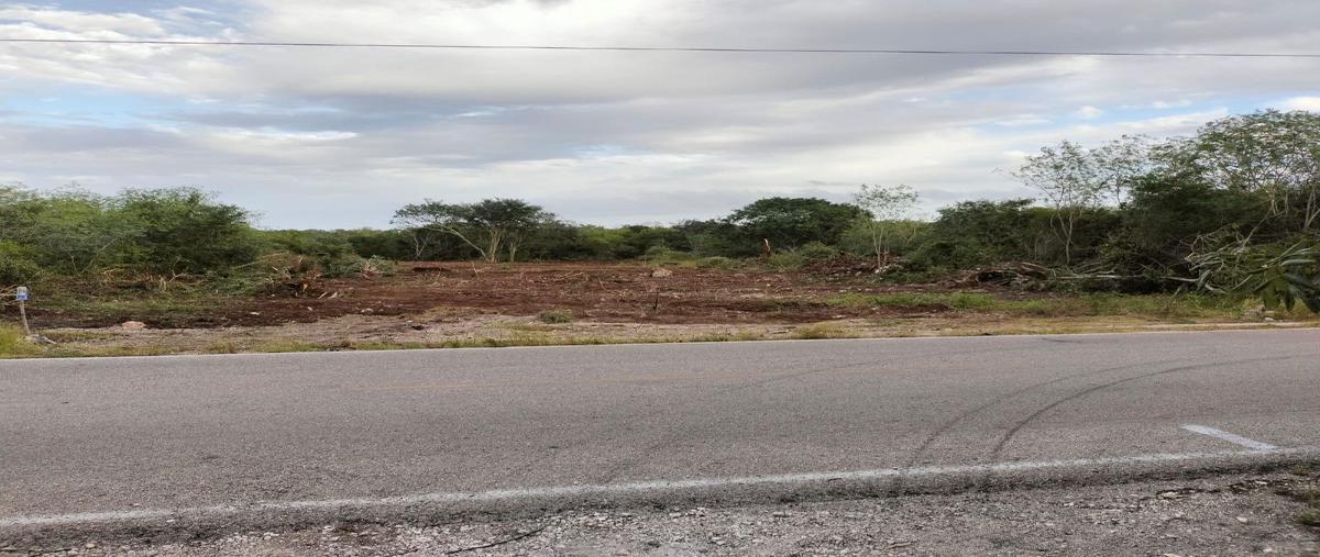 Foto de terreno habitacional en , kiktel, mérida, yucatán, 0 foto 04 Foto de terreno habitacional en venta en , kiktel, mérida, yucatán, 0 No. 04