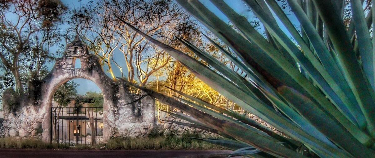 Foto de terreno habitacional en venta en  , kiktel, mérida, yucatán, 0 No. 03