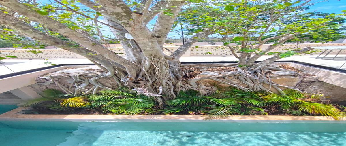 Foto de terreno habitacional en venta en  , kiktel, mérida, yucatán, 0 No. 05