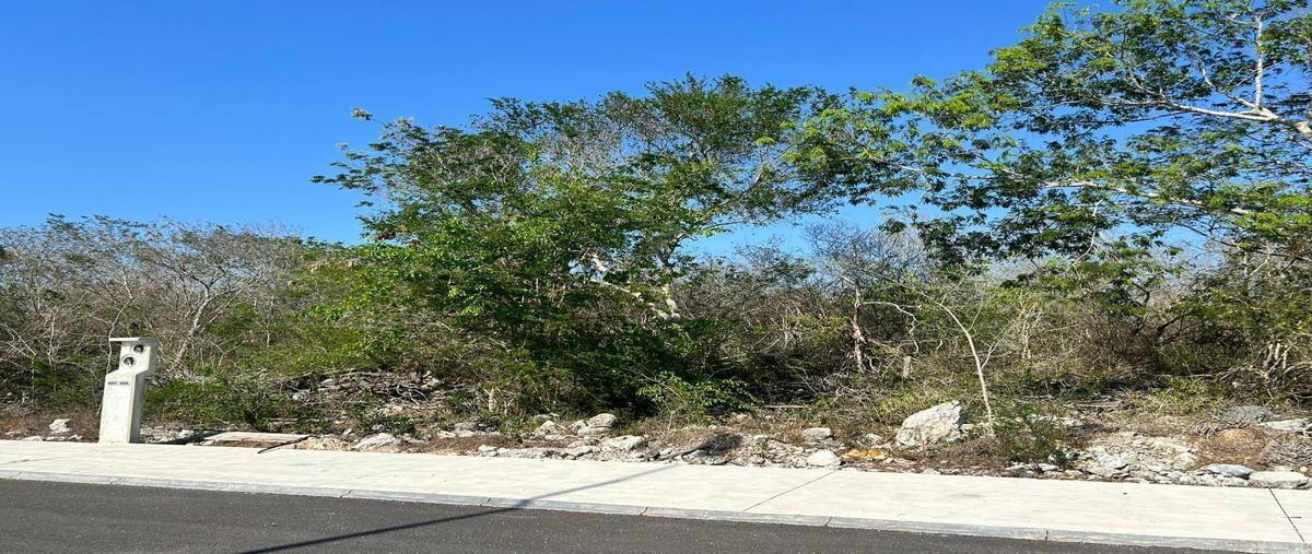Foto de terreno habitacional en , kiktel, mérida, yucatán, 29987504 foto 02 Foto de terreno habitacional en venta en , kiktel, mérida, yucatán, 29987504 No. 02