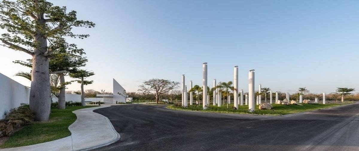 Foto de terreno habitacional en venta en  , kiktel, mérida, yucatán, 0 No. 03