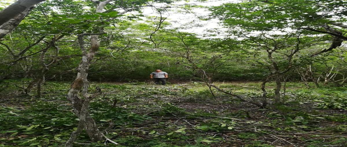 Foto de terreno habitacional en venta en  , kiktel, mérida, yucatán, 30113402 No. 03