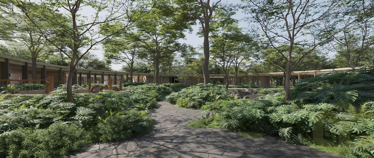 Foto de terreno habitacional en venta en  , kiktel, mérida, yucatán, 30274261 No. 05