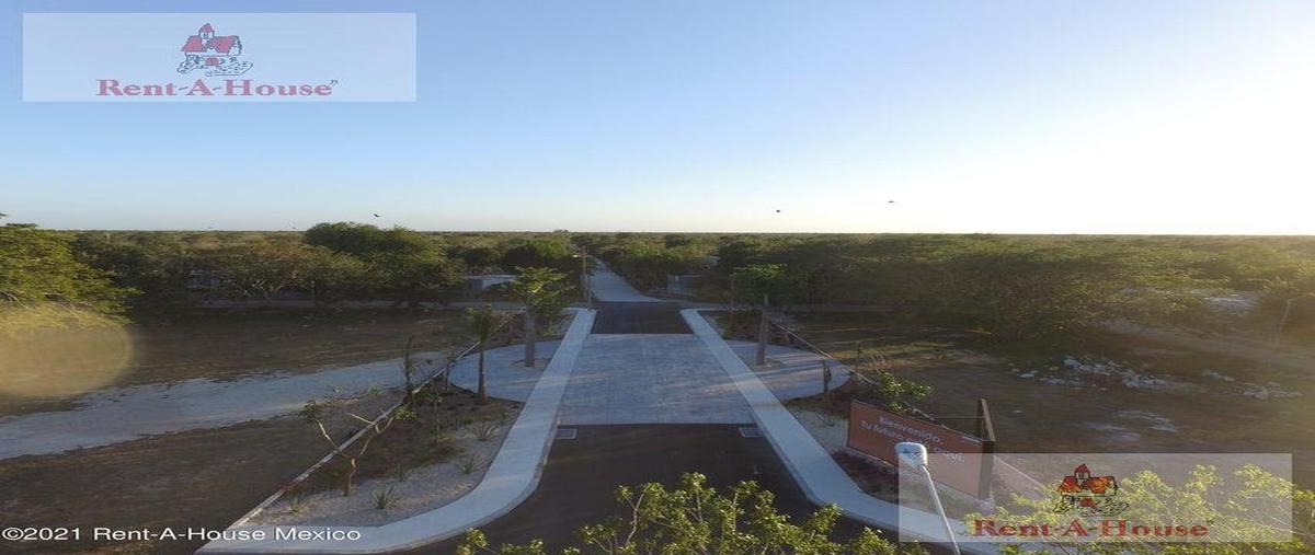 Foto de terreno habitacional en venta en  , kiktel, mérida, yucatán, 30381391 No. 04