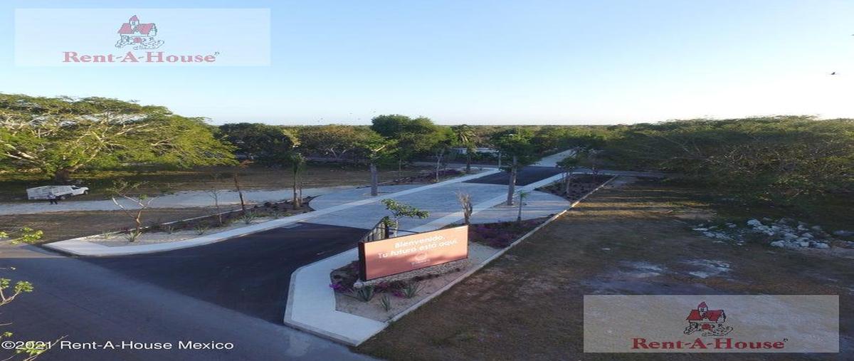 Foto de terreno habitacional en venta en  , kiktel, mérida, yucatán, 30381391 No. 05